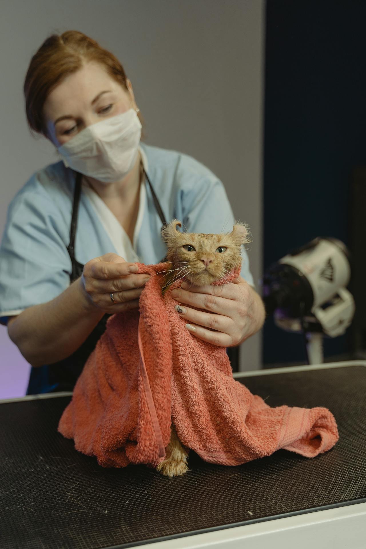 Veterinária Dra. Michelle